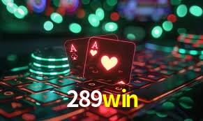 Experiência VIP 289win