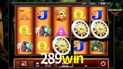 Descubra o Mundo do Cassino Online com 289win